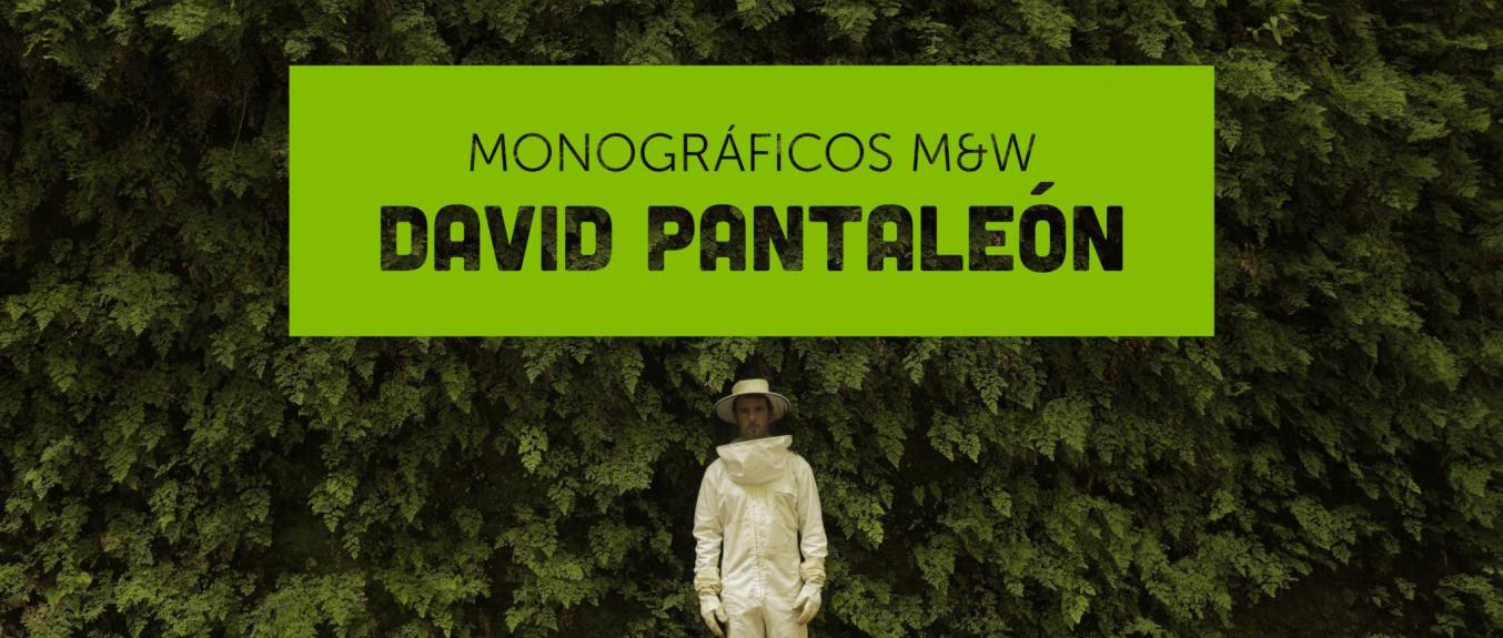 David Pantaleón